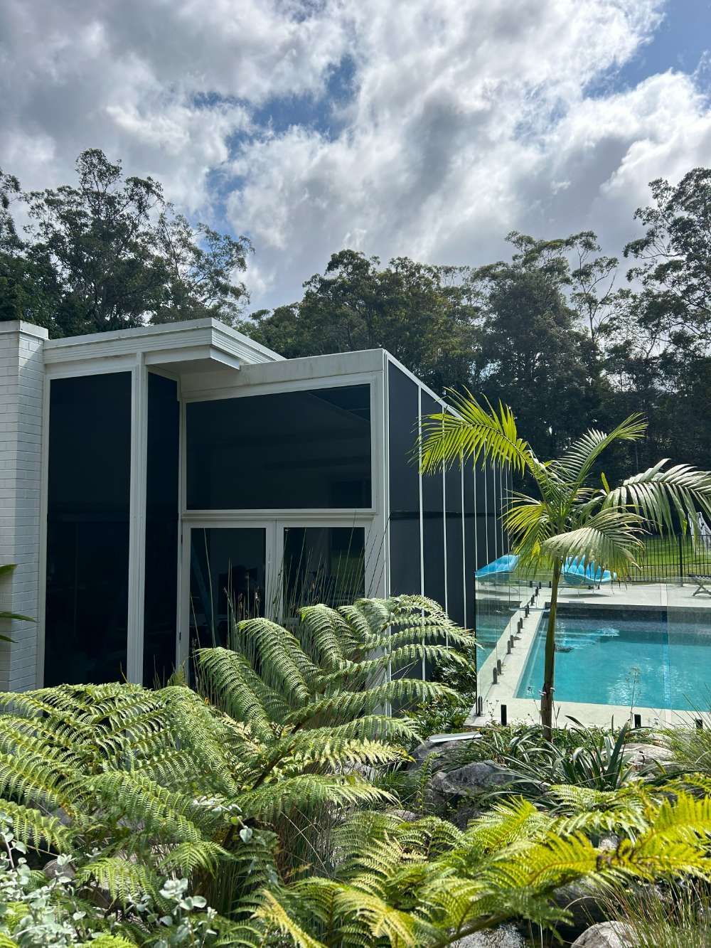 A Large House With A Swimming Pool In The Backyard Surrounded By Ferns And Trees — Homemakers Lifestyle In Maroochydore, QLD
