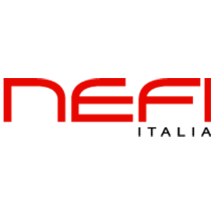 logo NEFI