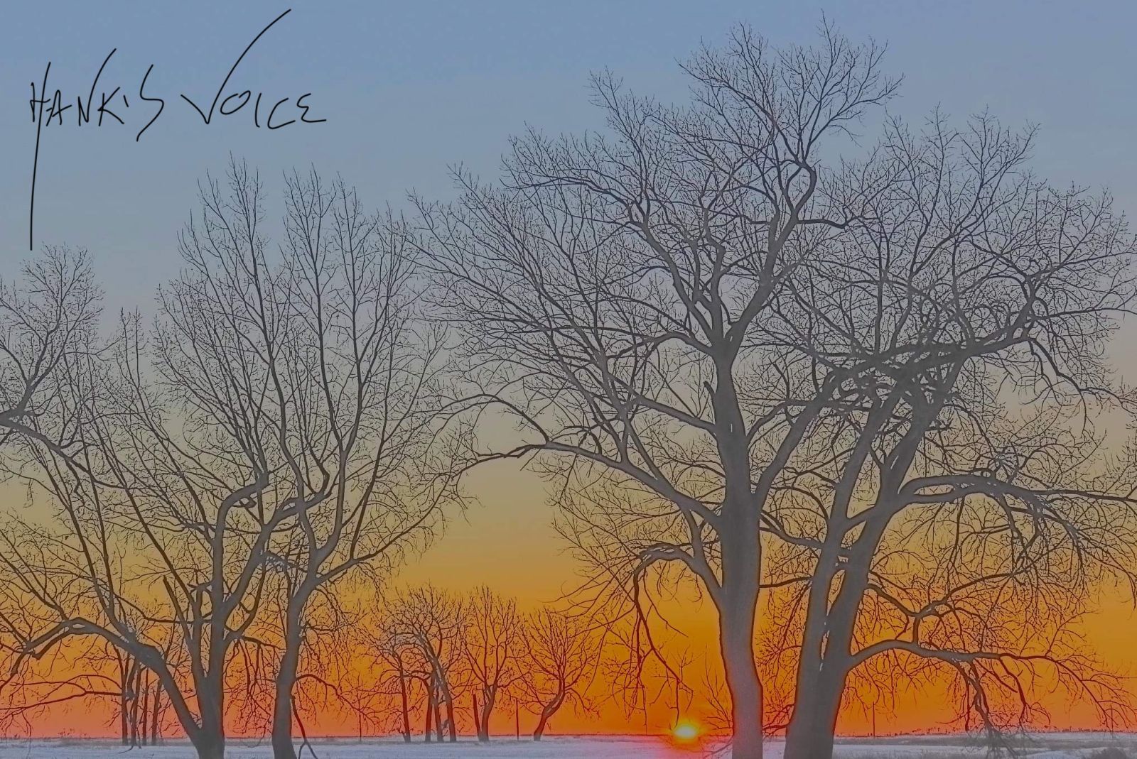 a painting of trees with the words hank 's voice written on the bottom