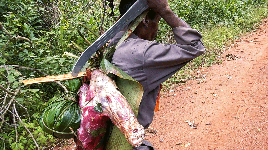 african poacher with fresh meat