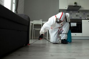 Technician checking a home foundation