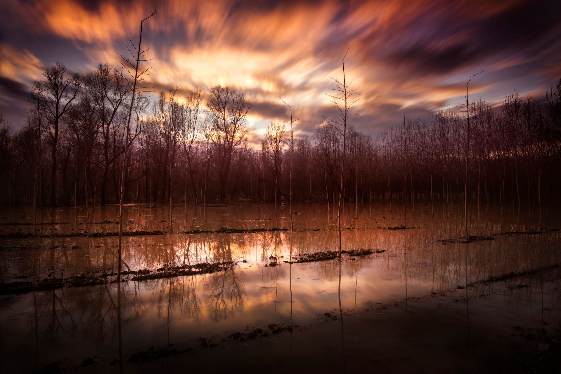 A sunset over a marsh with trees in the background