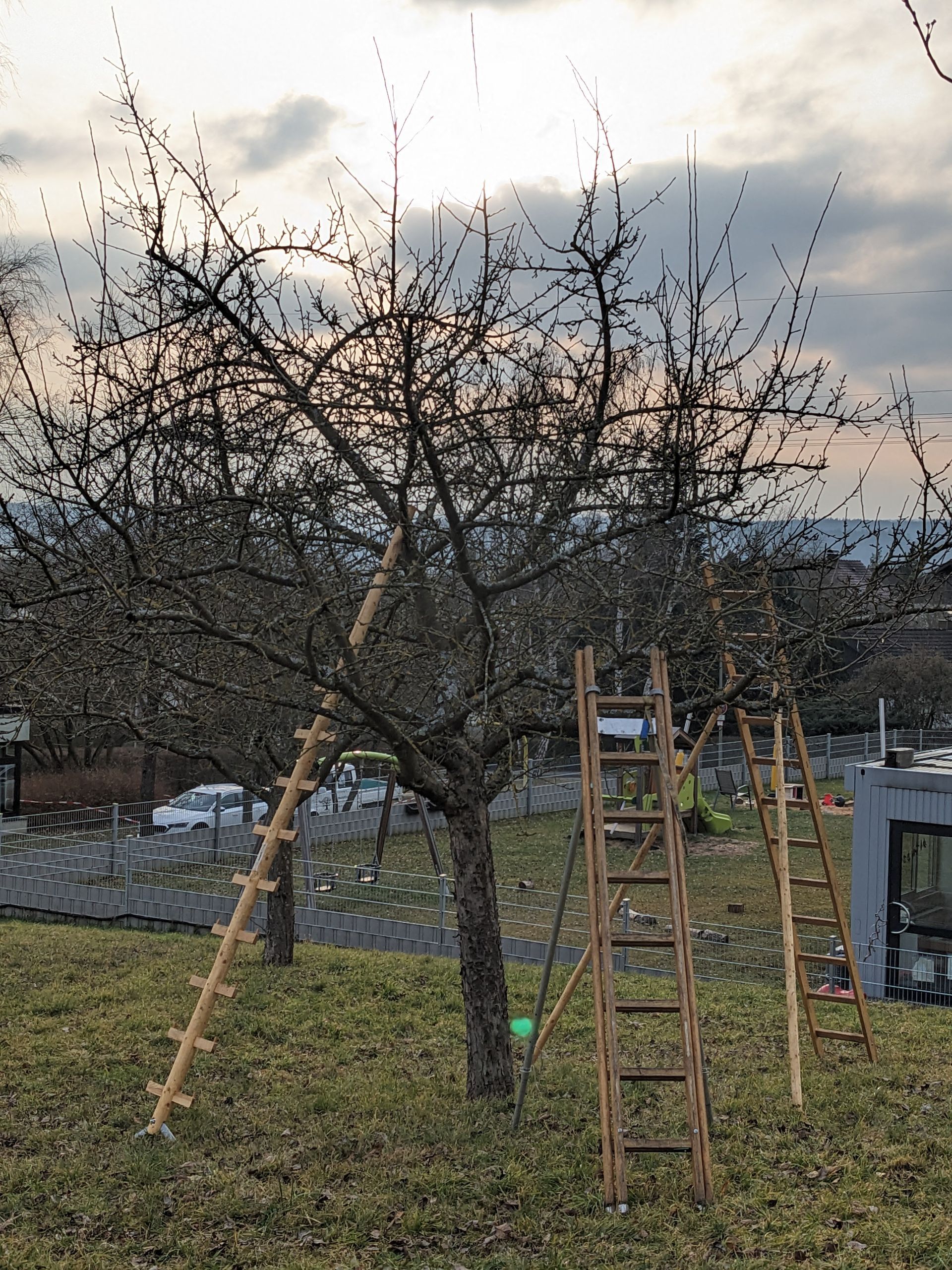 Streuobstwiesen in der Blüte Streuobstwiesen in der Blüte