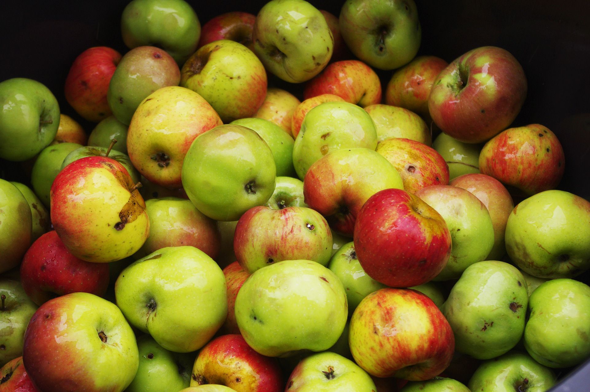 Streuobstwiese Äpfel