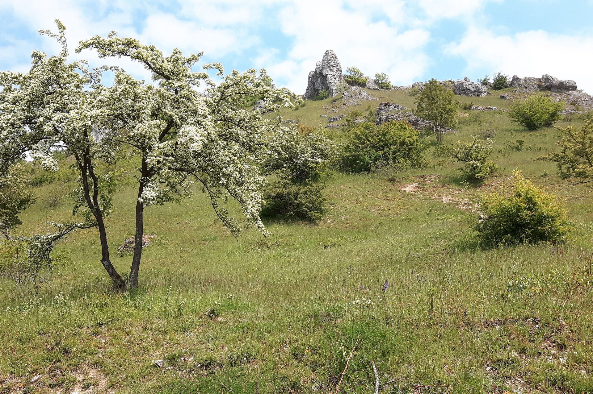 Schutzgebiete Biodiversität Schutzgebiete Biodiversität