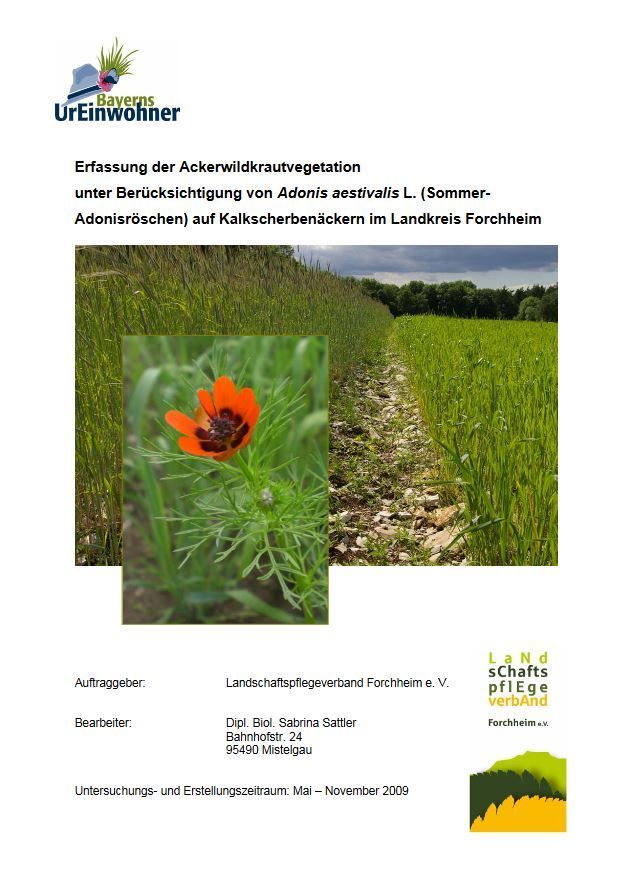 Erfassung der Ackerwildkrautvegetation im Landkreis Forchheim Erfassung der Ackerwildkrautvegetation im Landkreis Forchheim
