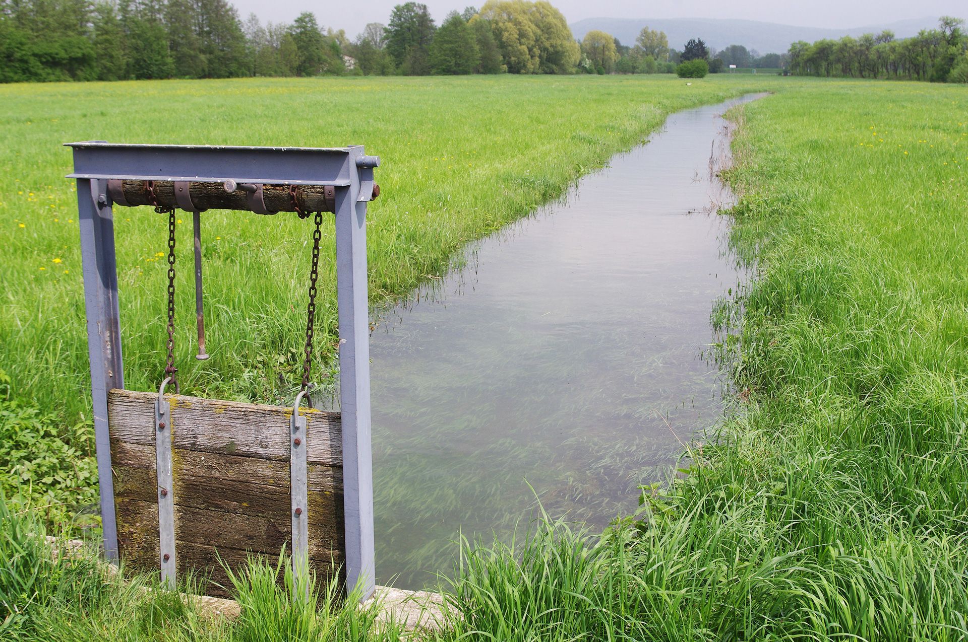 Wässerwiesen Wehr im Landkreis Forchheim