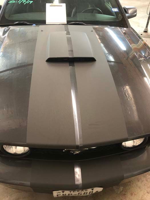 Dark gray Mustang hood with black racing stripes and hood scoop.