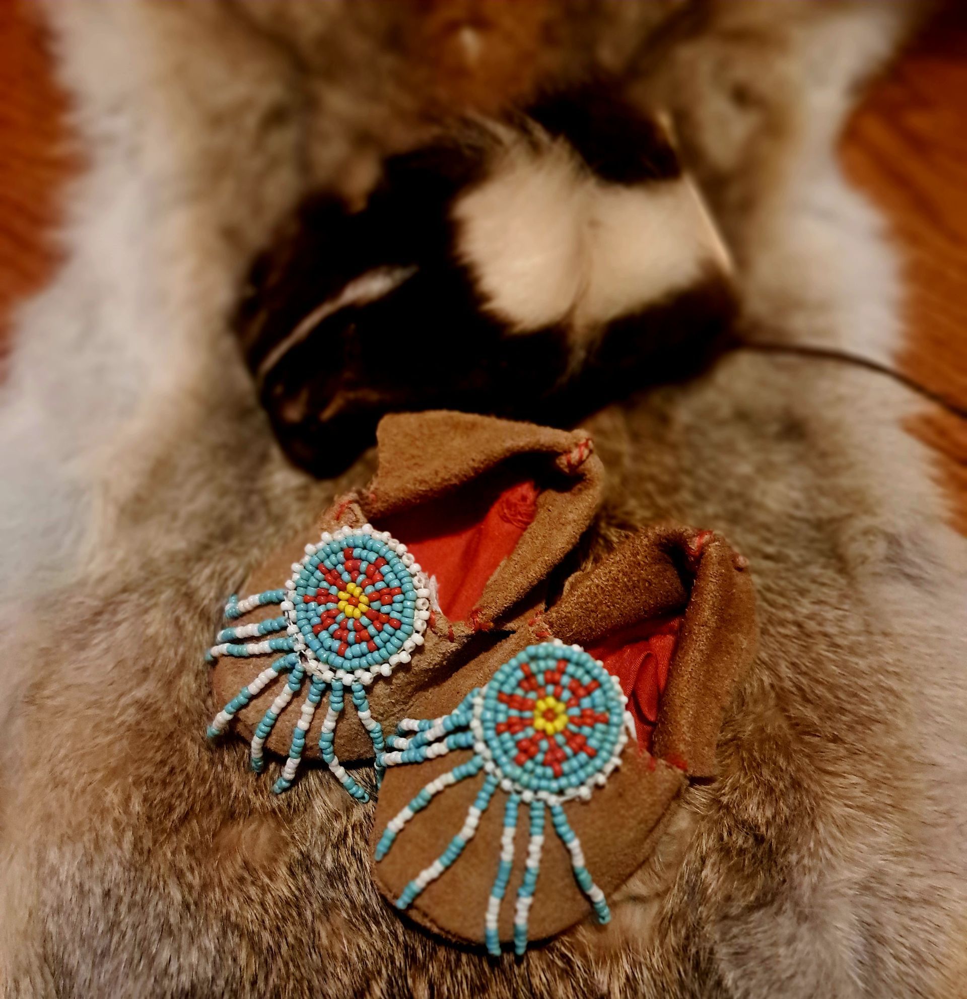 Beaded turquoise-and-red earrings displayed on fur with a red fabric background