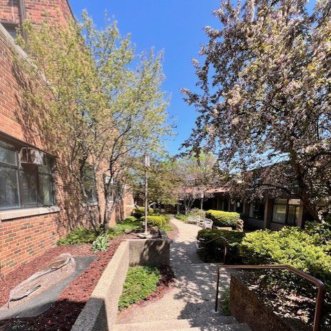 Courtyard walkway beside a brick building, with trees, shrubs, and a clear blue sky.