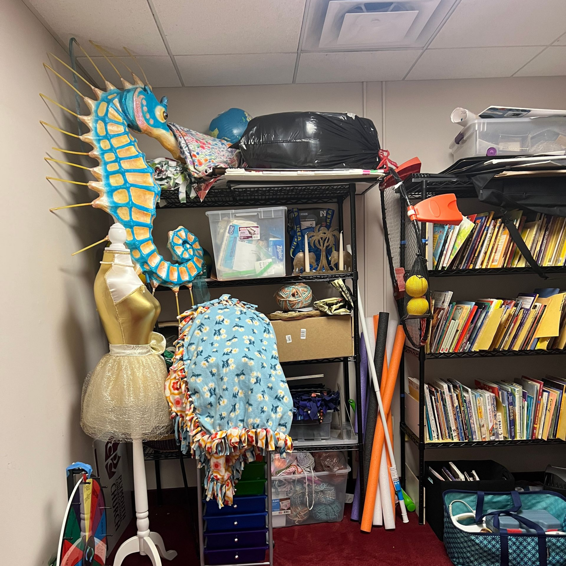 Storage shelves with colorful seahorse and shell decorations beside books and supplies