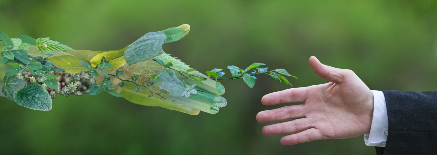 Green Technology Green Technology