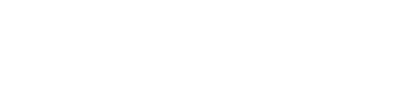 Yoozoom logo in white Yoozoom logo in white