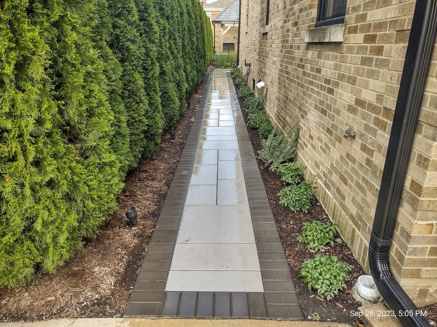 A sidewalk leading to a brick building with trees on both sides.
