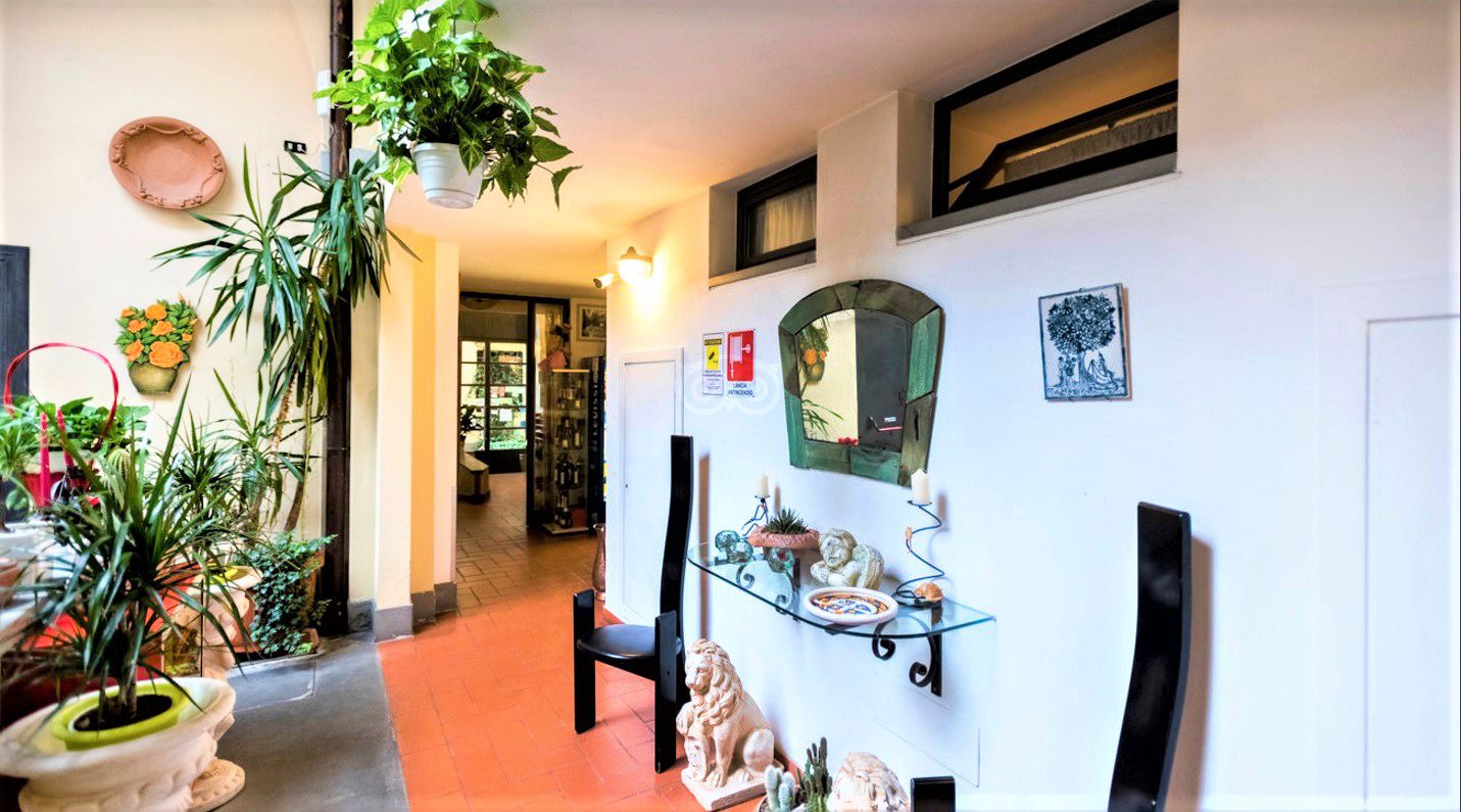 Bright hallway with potted plants, hanging greenery, and a white wall displaying mirrors and decorative items