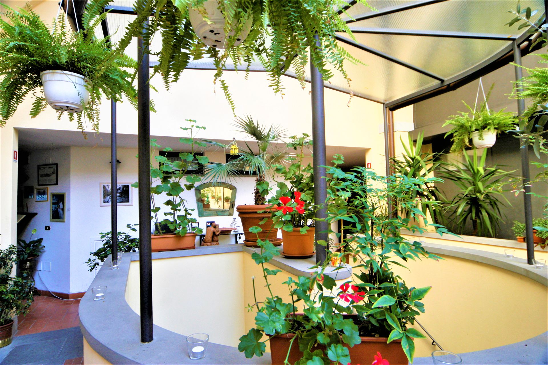 Bright indoor courtyard filled with potted plants and hanging greenery under a white canopy