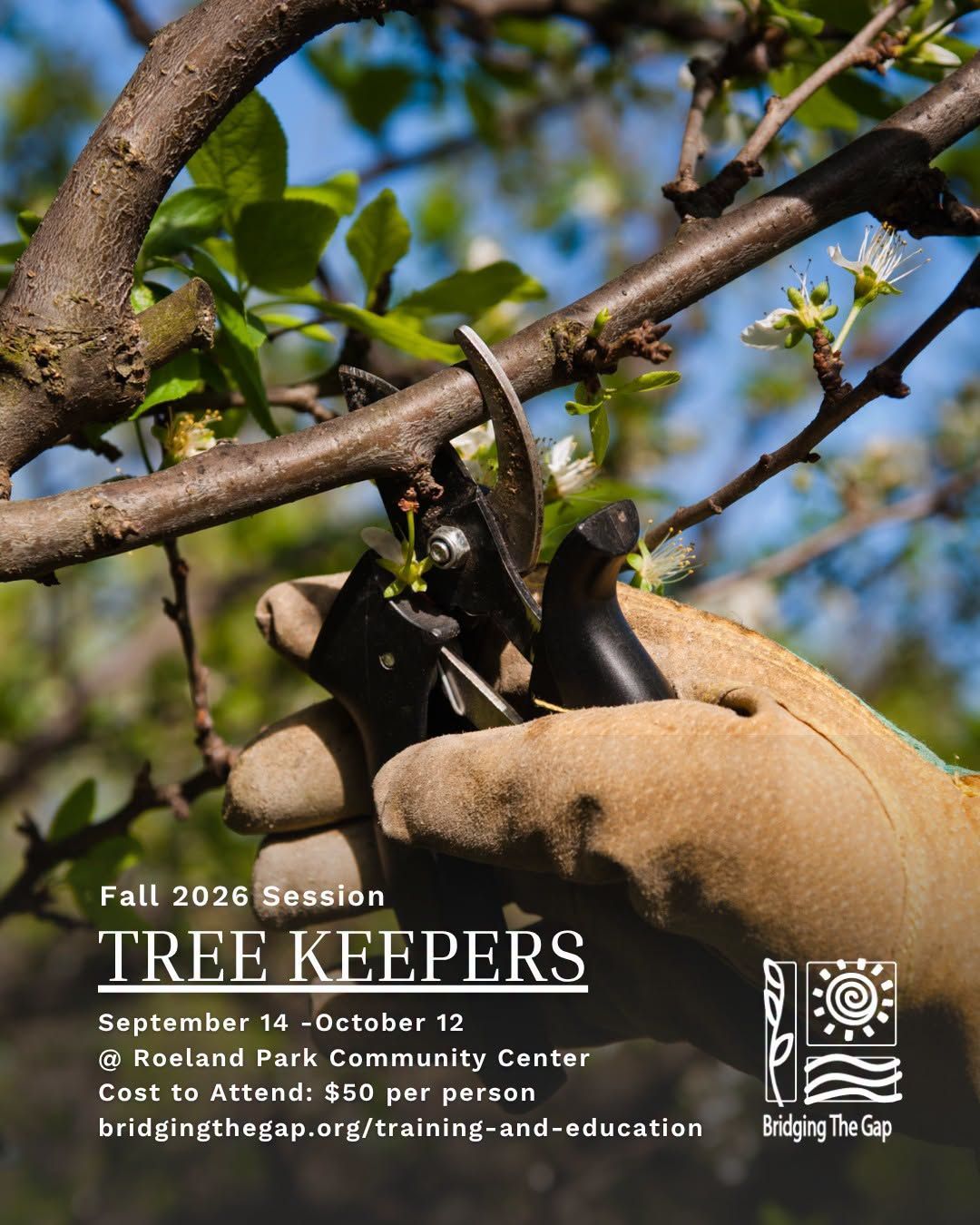 Hand holding pruning tool, trimming a tree branch with text over the image