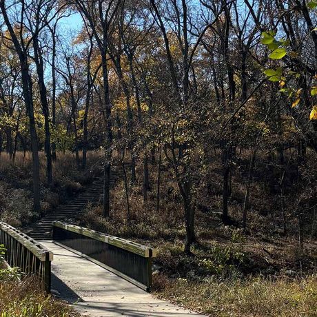 walkway to a bridge in a kansas forest