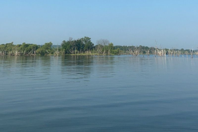 calm lake with trees in the background
