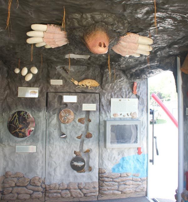 Trailer display exhibit showing underground ecosystem