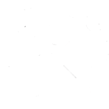 Qld staffy and amstaff rescue