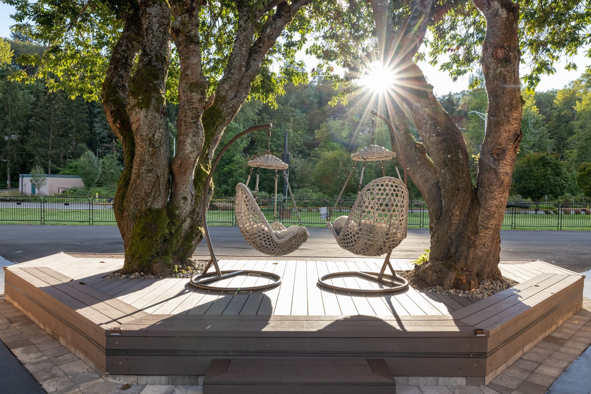 Two wicker chairs are sitting under a tree on a wooden deck.