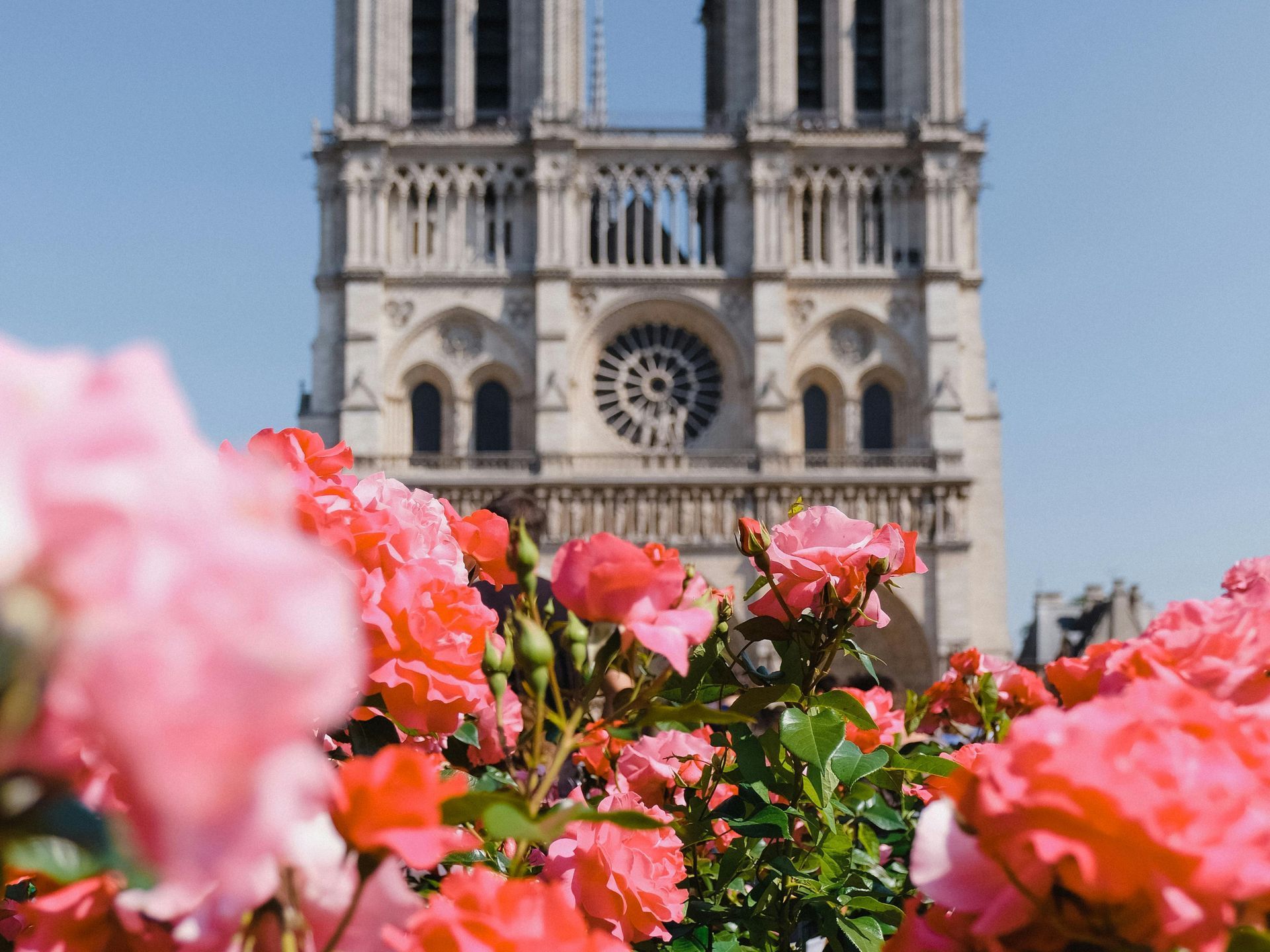 Notre Dame de Paris Cathedral during a walking tour