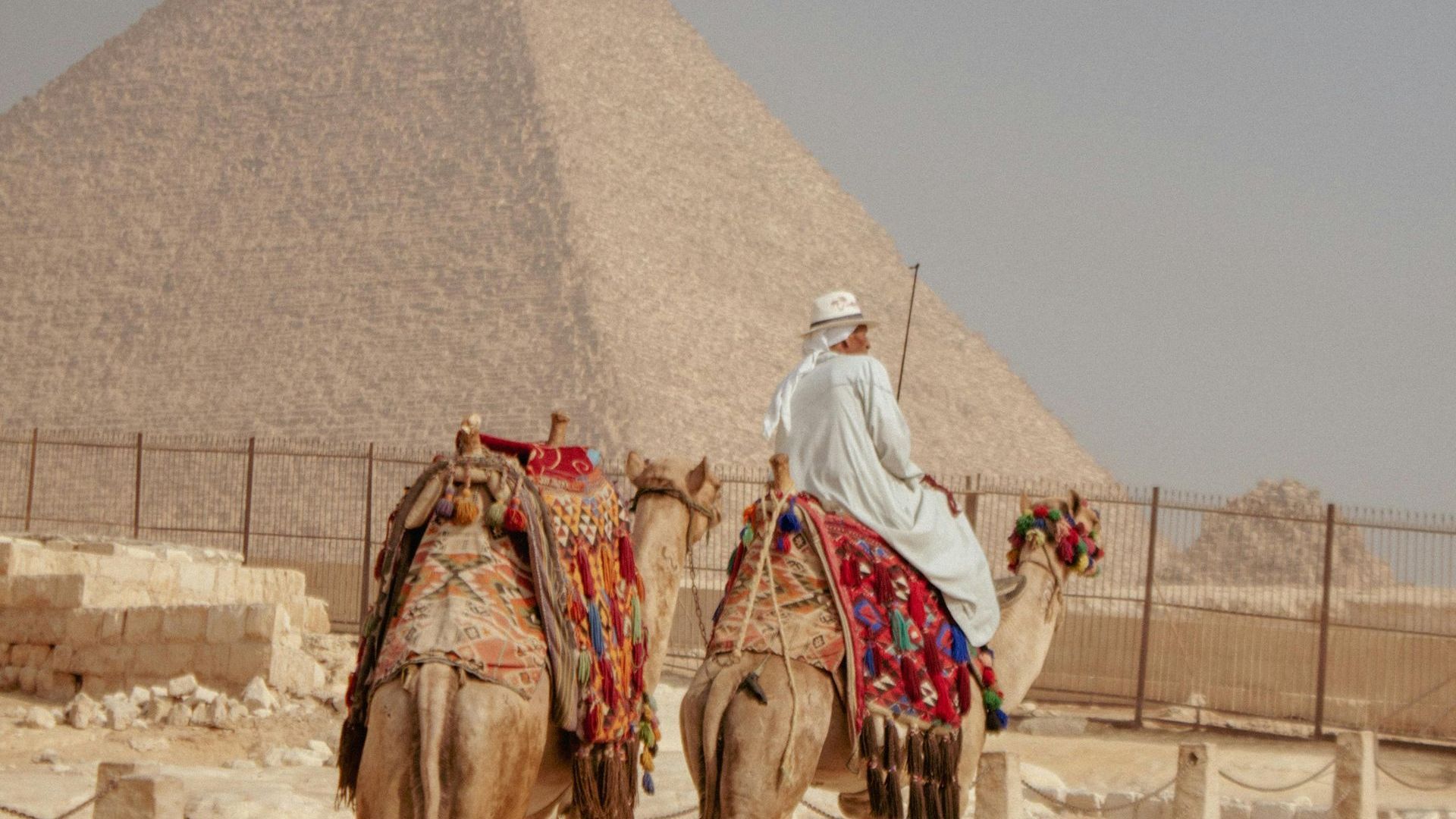 A tour in Egypt