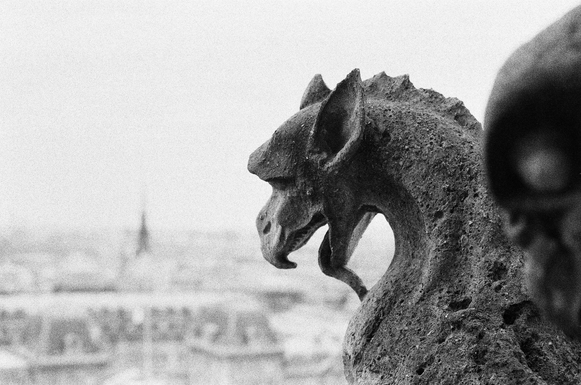Les gargouilles de Notre-Dame qui veillent sur la ville de Paris