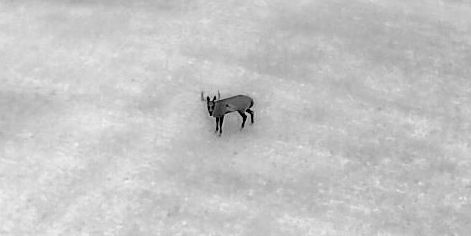 Crystal clear thermal imaging