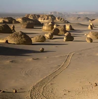 Cairo Fayoum Desert Safari