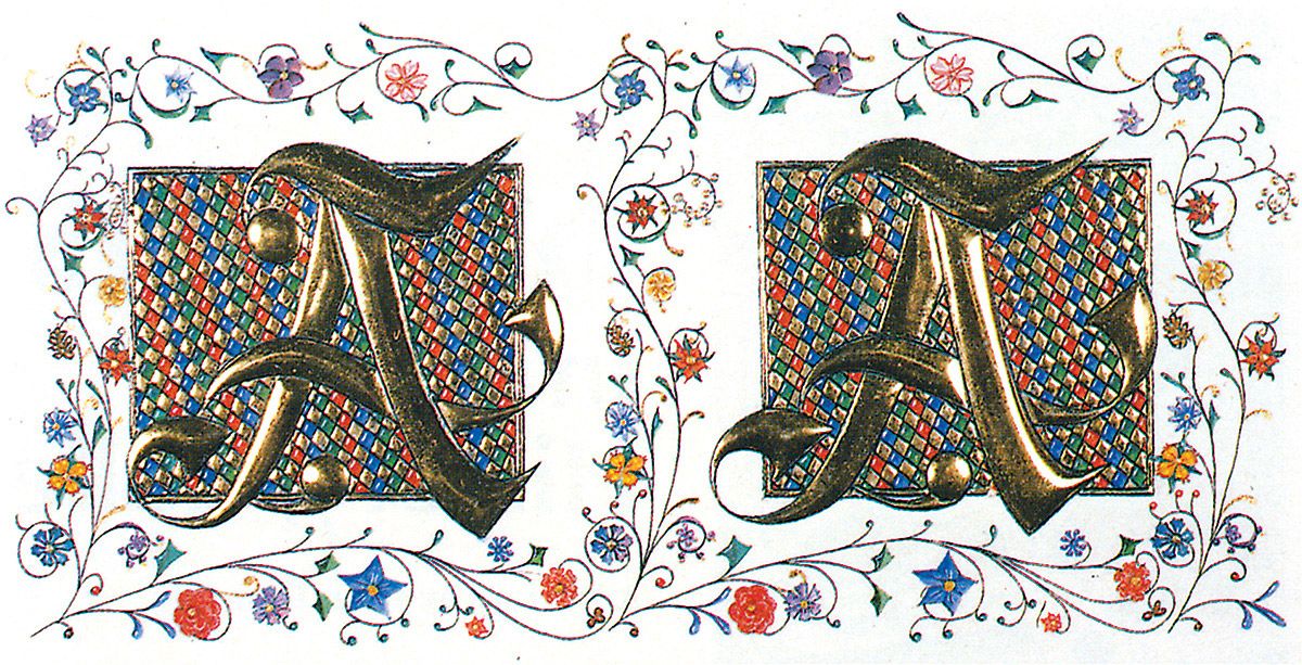 ‘A’ (above) was completed in1981 while the author was still a scientific illustrator with the Department of Invertebrate Zoology at the Smithsonian. The painted and drawn parts of the image are watercolors
and India ink on Bristol Board.