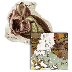 Schumacher-Landin_sketches (details)