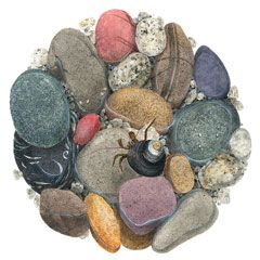 Seashore ©2017 Katherine Rudebusch