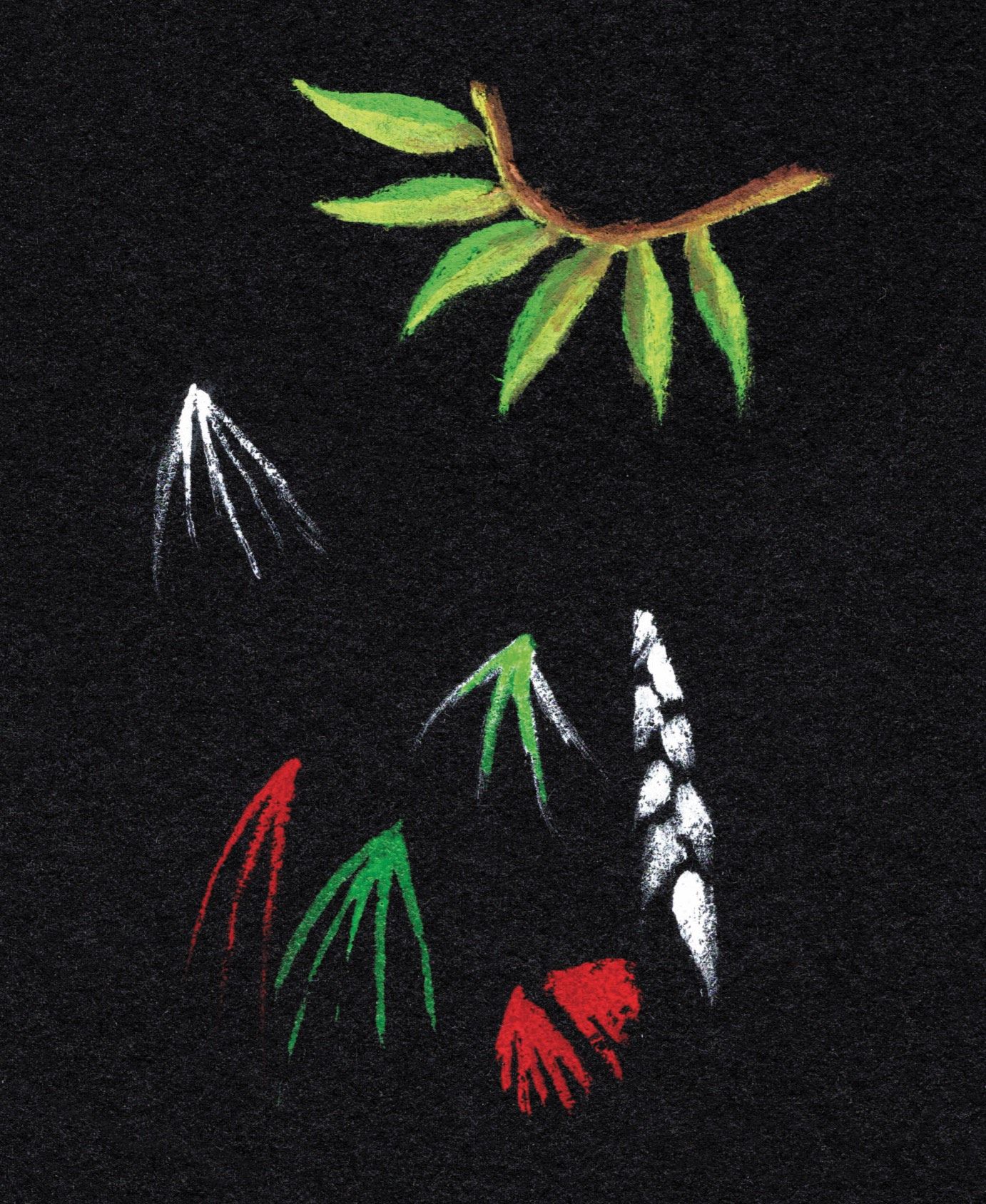 Figure 2. Acryla® white gouache and Winsor & Newton® Designers' Gouache doodles. The Acryla® is the white leafy spray at the lower right, the rest are Windsor & Newton®. The color pops beautifully but you can see the fuzzy edges. Fine details are difficult to achieve.