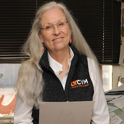 Deb Haines. Portrait by Phil Snow-UTCVM medical photographer