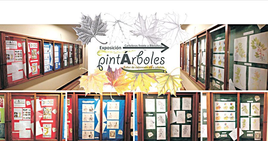 Displayed Results of the Colorful Leaves workshop in Uruguay. Photo © 2016 Gabriela