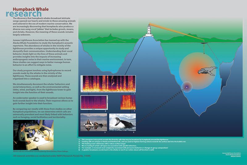 Figure 7: Humpback whale research panel ©2015 Juneau Lighthouse Association and Birzer Studios
