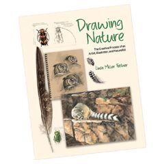 Cover of Drawing Nature: The Creative Process of an Arist, Illustrator, and Naturalist, by Linda Miller Felter. Published by Princeton University Press, Princeton, NJ, 2024.
Hardcover: 227 pages
ISBN-13: 978-0691255385