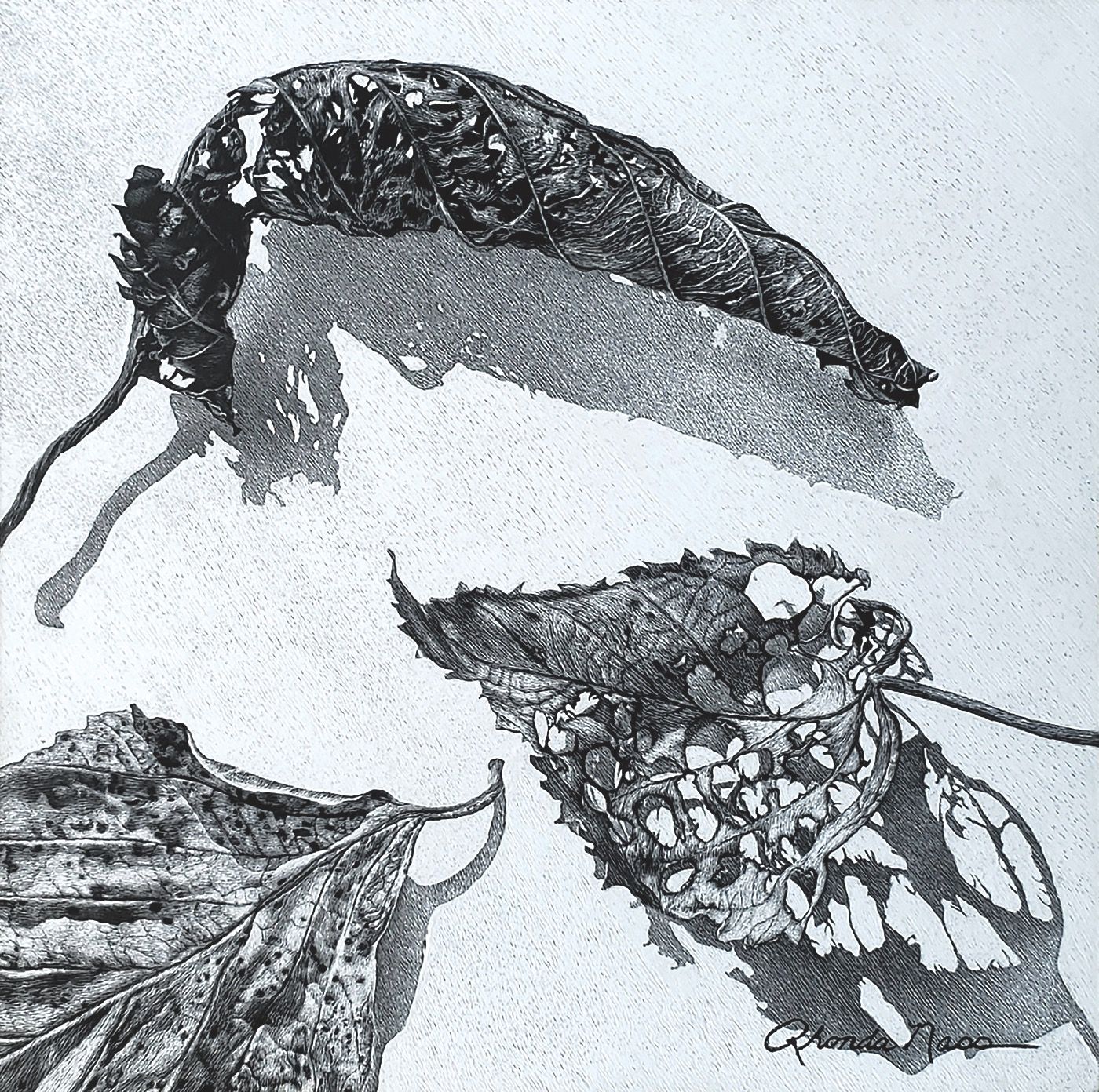 Fig. 9: The intentionally reserved areas (darkest dark/black ink and lightest light/white clay) are usually added in the last half hour at the focal point to make the dramatic contrast that draws the viewer to the artist’s chosen focal point. ©Rhonda Nass