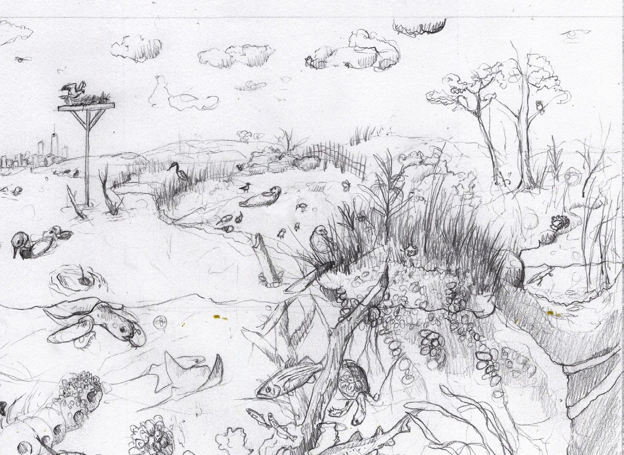 Figure 2: (left) Detail from the initial concept sketch for the Jamaica Bay Estuary. Figure 2: (left) Detail from the initial concept sketch for the Jamaica Bay Estuary.
