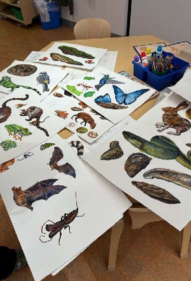 Figure 3: The entire spread of my original watercolor illustrations used to create the magnetic elements for the murals rendered at fu Figure 3: The entire spread of my original watercolor illustrations used to create the magnetic elements for the murals rendered at full size