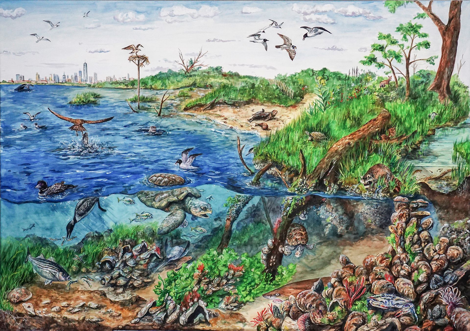 Figure 6: (left) Scanned and edited Jamaica Bay Estuary mural, ready for installation. Figure 6: (left) Scanned and
edited Jamaica Bay Estuary
mural, ready for installation.