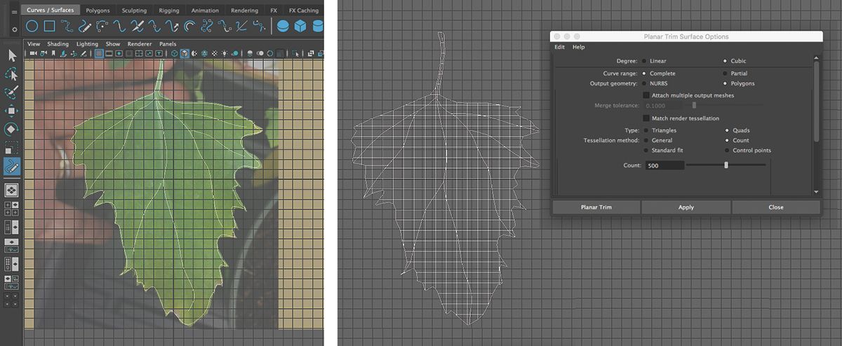 (a) The Pen Curve tool is used to create an outline and veins. (b) Convert the results to a