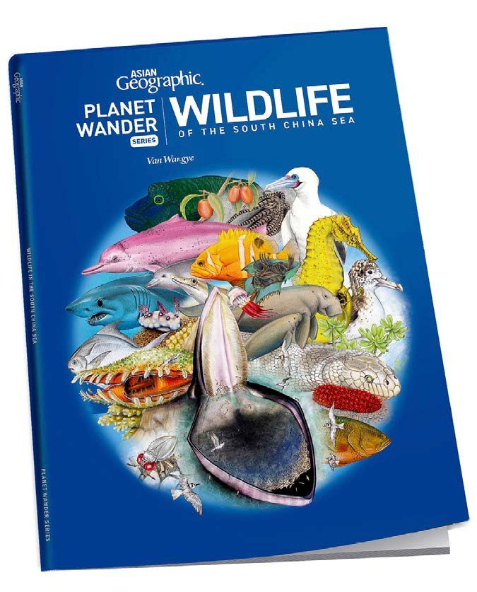 Book Cover, Wildlife of the South China Sea. Figure 10: Book Cover, Wildlife of the South China Sea.