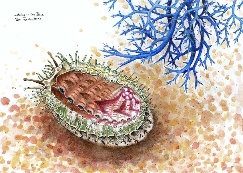 Figure 9: An illustration included in Wildlife in the South China Sea. Figure 9: An illustration included in Wildlife in the South China Sea.