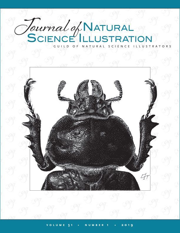 Journal of Nature Science Illustrators Vol. 51, No. 1 - Cover image