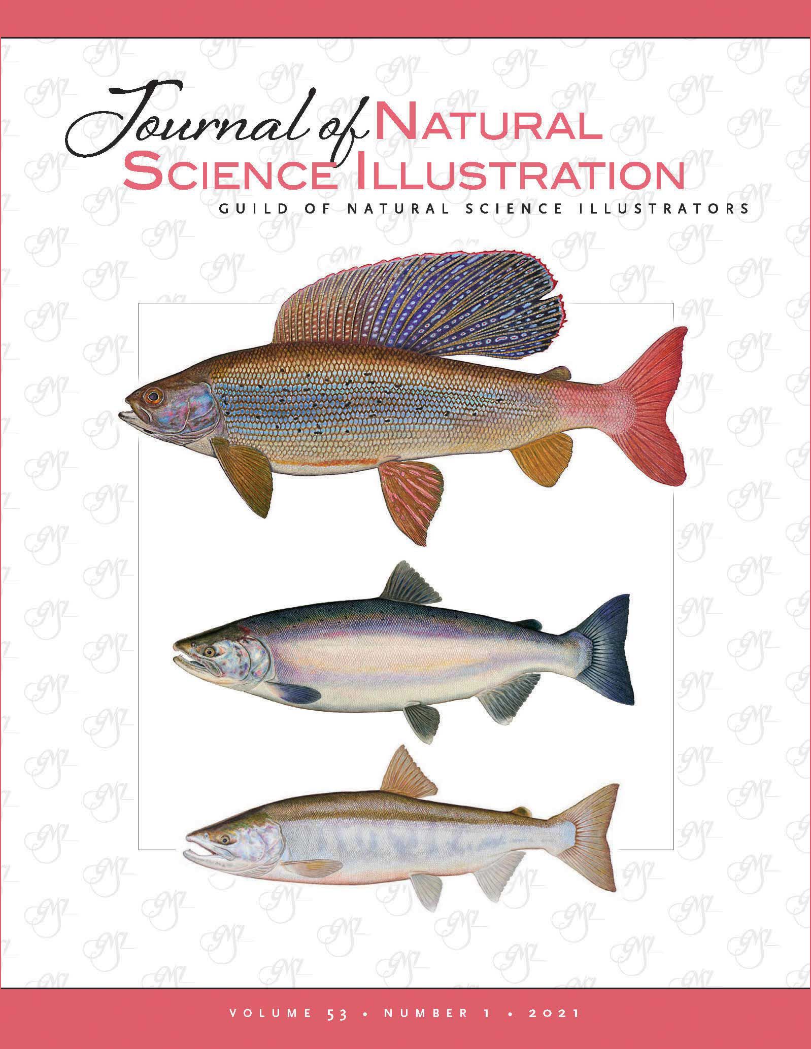 Journal of Nature Science Illustrators Vol. 53, No. 1 - Cover image