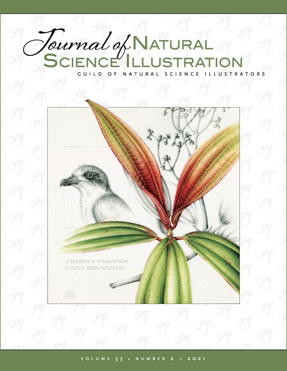 Journal of Nature Science Illustrators Vol. 53, No. 2 - Cover image
