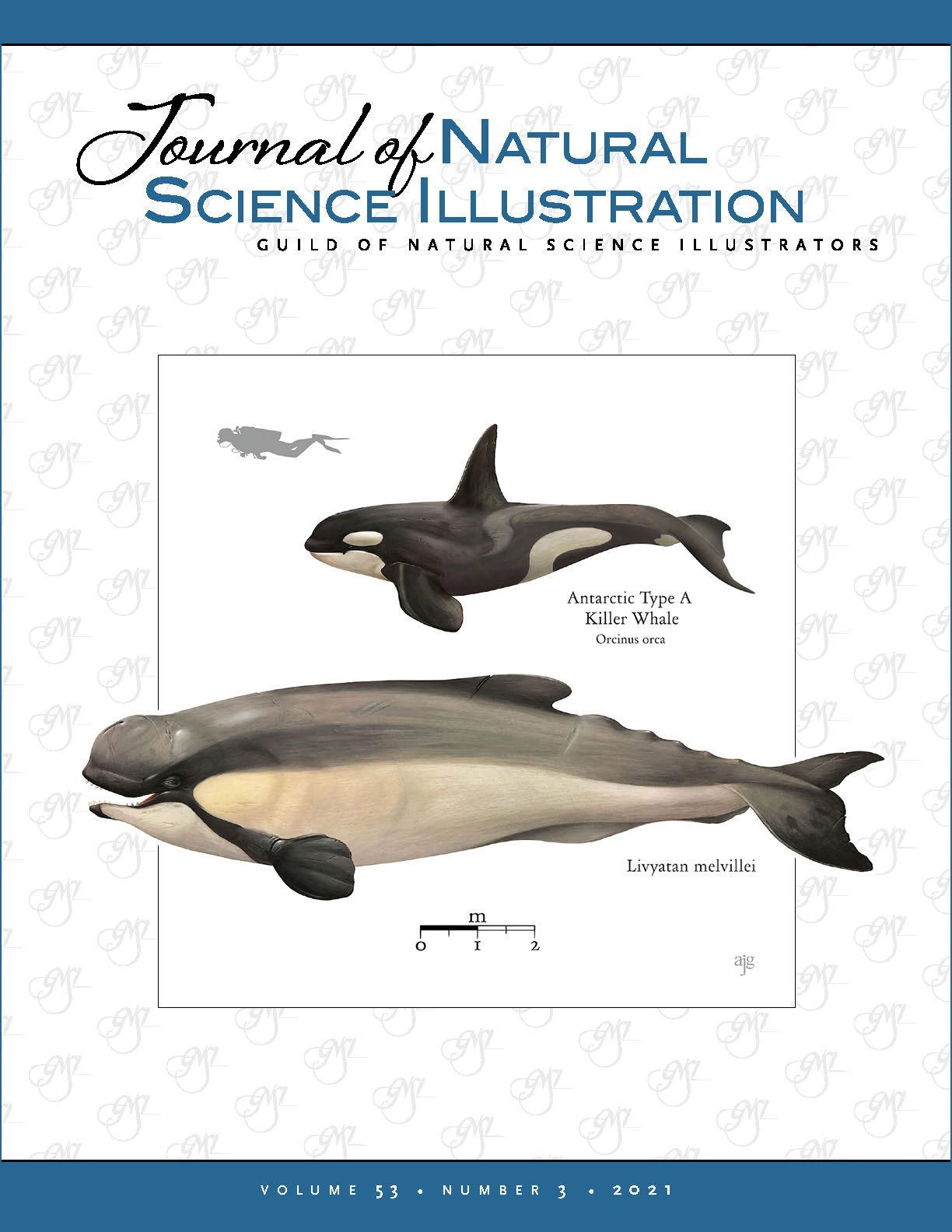 Journal of Natural Science Illustration Vol. 53 No. 3 - Cover art